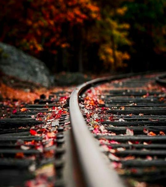 Railroad image to symbolize the Spa's closeness to Nashville's Rail History